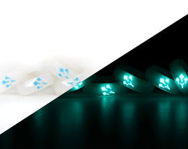 Sage FFXIV Ring Glow in the Dark Soul Crystal/SGE Job Stone Final Fantasy XIV FF14